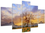 Obraz - Krajina so slnečnicami (150x105 cm)