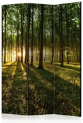 Artgeist Paraván - Morning in the Forest [Room Dividers]