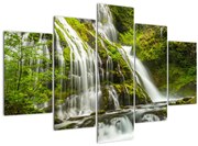 Obraz - Vodopád, Wind River Valley (150x105 cm)