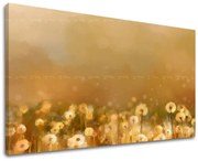 Obraz na stenu KVETY | rôzne rozmery