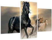 Obraz - Kone (90x60 cm)