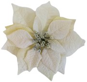 Zasnežená krémová vianočná ruža na štipci 22cm