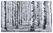Doska Birch Forest 35x22cm, čierno-biela