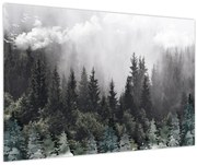 Obraz - Les s ilustrovanými prvkami (90x60 cm)