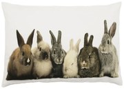 Biely bavlnený vankúš s zajačikov Rabbi - 50 * 10 * 35cm