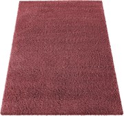 DY Santo Červený koberec Rozmer: 120x170 cm