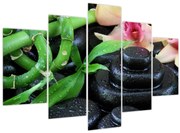 Obraz - Kamene a orchidey (150x105 cm)