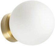 Toolight Toolight, nástenné svietidlo 1xE14 APP1250-1W, zlatá, OSW-40038