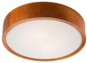 LED stropné svietidlo 1xLED/24W/230V