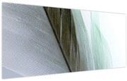 Obraz - Perie, makro (120x50 cm)