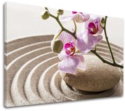 Obraz na plátne FENG SHUI_050-11 | rôzne rozmery