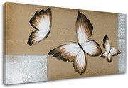 Obraz na plátne MOTÝLE 1 dielny XOBDO155D1 | rôzne rozmery