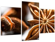 Obraz - Aníz (90x60 cm)