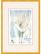 Fotorám 42x59,4, SLS/005