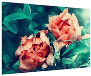 Obraz jarných kvetov (90x60 cm)