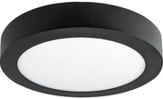 LED Stropné svietidlo FENIX LED/12W/230V 2800K pr. 17 cm
