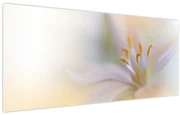 Obraz - Jemný kvet (120x50 cm)