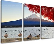 Obraz na stenu 3 dielny KRAJINA KR004E30