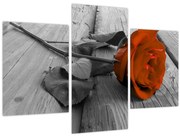 Obraz - Oranžová ruža (90x60 cm)