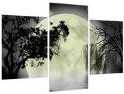 Obraz - Spln nad hladinou, čiernobiely variant (90x60 cm)