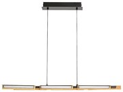 Rabalux 72045 - LED Luster na lanku REMIEL LED/30W/230V 3000K