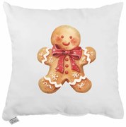 Vianočný vankúš Ginger 40x40 cm EMI