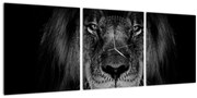 Obraz - Lev a jeho majestátnosť (s hodinami) (90x30 cm)