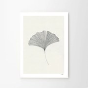 The Poster Club Plagát Ginkgo Leaf by Ana Frois A4 (21x27cm)