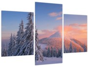 Obraz - Zimná krajina (90x60 cm)