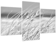 Obraz - Plážová tráva (90x60 cm)