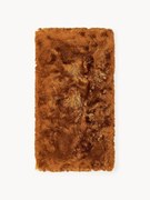 Lesklý koberec's vysokým vlasom Jimmy