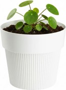 PLASTOVÝ KVETINÁČ SILVA LINE 13X11,5 CM KRÉMOVÁ