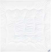 XXXLutz CELOROČNÁ PRIKRÝVKA, 200/200 cm, polyester Sleeptex - Prikrývky & vankúše - 003284009001
