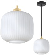 Závesné svietidlo Riffle 2, 1x biele sklenené tienidlo, b/g