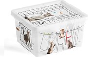 KIS C BOX 84060005098 Box 2 L, Style, Pets Collection