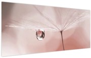 Obraz - Kvapka rosy (120x50 cm)