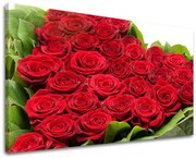 Obraz na stenu KVETY | rôzne rozmery