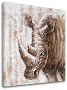 Obraz na plátne NOSOROŽEC | rôzne rozmery