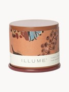 Vonná sviečka Vanity Tin (kašmírové pižmo, tabakový list a pomaranč)
