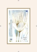 Klipový rámček 15x21 cm, číry%