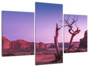 Obraz stromu u červených skál (90x60 cm)