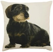 Plátený vankúš s jazvečíkom - 50 * 10 * 50cm