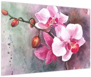 Obraz - Orchidey, aquarel (90x60 cm)