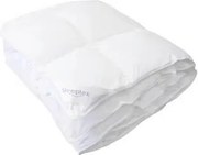 XXXLutz CELOROČNÁ PRIKRÝVKA, 200/200 cm, polyester, duté vlákno Sleeptex - Prikrývky & vankúše - 005868021903