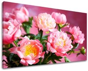 Obraz na stenu KVETY | rôzne rozmery