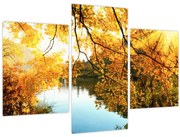 Obraz - Jesenný strom (90x60 cm)