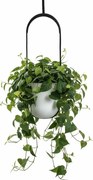 Závěsný květináč AERA HANG 17,9 cm bílý
