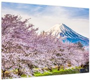 Obraz - Japonsko na jar (70x50 cm)