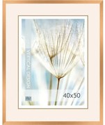 Fotorám 40x50, Quadro/11