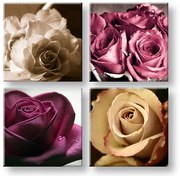 Obraz na stenu Kingdom of roses | rôzne rozmery